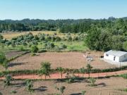 Terreno em Espinhal