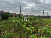 Terreno em Esposende, Marinhas e Gandra