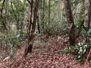 Terreno em Estância Piratininga, Suzano/SP de 0m² à...