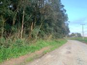 Terreno em Eucaliptos, Fazenda Rio Grande/PR de 3000m² à...