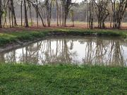 Terreno em Eucaliptos, Fazenda Rio Grande/PR de 2000m² à...