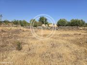 Terreno em Falfosa, Santa Barbara de Nexe, Faro