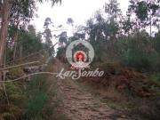 Terreno em Fornelo e Vairão