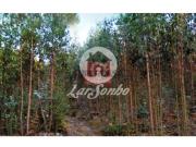 Terreno em Fornelo e Vairão