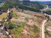 Terreno em Freiria