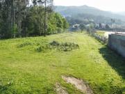Terreno em Gandra e Taião