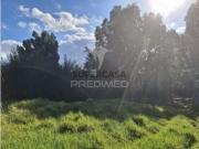 Terreno em Gaula