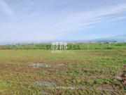 Urbanizável em Gião