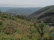 Terreno em Graça de 18689,00 m²