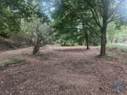 Terreno em Graça de 7231,00 m²