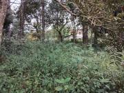 Terreno em Gramado, Cotia/SP de 586m² à venda por R$...