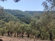Terreno em Grândola com bonitas vistas de serra