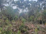 Terreno em Granja Mafra, Teresópolis/RJ de 1400m² à...