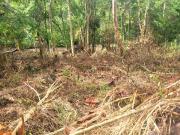 Terreno em Granja Mafra, Teresópolis/RJ de 600m² à venda...