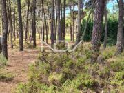 Terreno em Herdade Aroeira