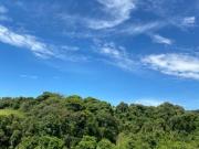 Terreno em Ibiúna com Potencial de Valorização