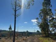 Terreno em Ibiúna – Próximo ao bairro Colégio e Marina Rasa