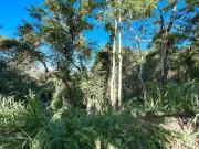 Terreno em Itaipu, Niterói/RJ de 0m² à venda por R$...