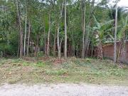 Terreno em Itaipu, Niterói/RJ de 0m² à venda por R$...