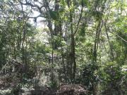 Terreno em Itaipu, Niterói/RJ de 0m² à venda por R$...