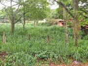 Terreno em Itaipu, Niterói/RJ de 0m² à venda por R$...