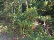 Terreno em Itaipu, Niterói/RJ de 0m² à venda por R$... Terreno em Itaipu, Niterói/RJ de 0m² à venda por R$...