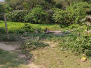 Terreno em Jardim Nova Cotia, Itapevi/SP de 0m² à venda...