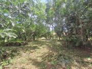 Terreno em Jardim São Francisco, Piracicaba/SP de 0m² à...