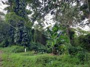 Terreno em Jardim Santa Paula, Cotia/SP de 0m² à venda...