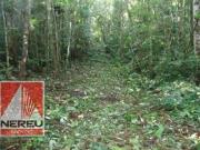 TERRENO EM JUQUITIBA / SP PARA FORMAR 40.400,00M²
