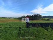Terreno em Laúndos