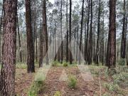 Terreno em Leiria