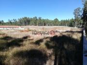 Terreno em Santa Eufémia e Boa Vista