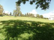 Terreno em Loteamento Alphaville Campinas, Campinas/SP...