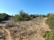 Terreno em Loulé São Clemente de 4300,00 m²