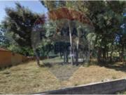 Terreno em Loureiro
