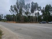 Terreno em Loureiro de 8130,00 m²