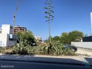 Terreno em Marinha Grande de 3798,00 m2