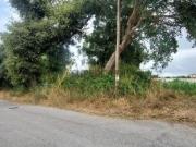 Terreno em Marrazes e Barosa de 1180,00 m²