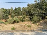 Terreno em Marrazes e Barosa de 2200,00 m²