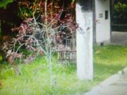 Terreno em Mata Paca, Niterói/RJ de 0m² à venda por R$...