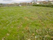 Terreno em Moimenta da Beira