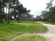 Terreno em Moita