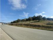 Terreno em Alcanena e Vila Moreira