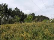 Terreno em Monte Córdova