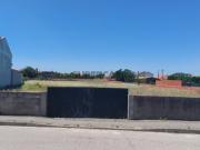 Terreno em Monte Real e Carvide