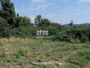 Urbanizável em Mujães