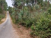 Terreno em Nossa Senhora do Pópulo, Coto e São Gregório