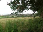 Terreno em Nossa Sra de Fátima