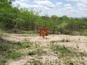Terreno em Nova Caruaru, Caruaru/PE de 0m² à venda por... Terreno em Nova Caruaru, Caruaru/PE de 0m² à venda por...